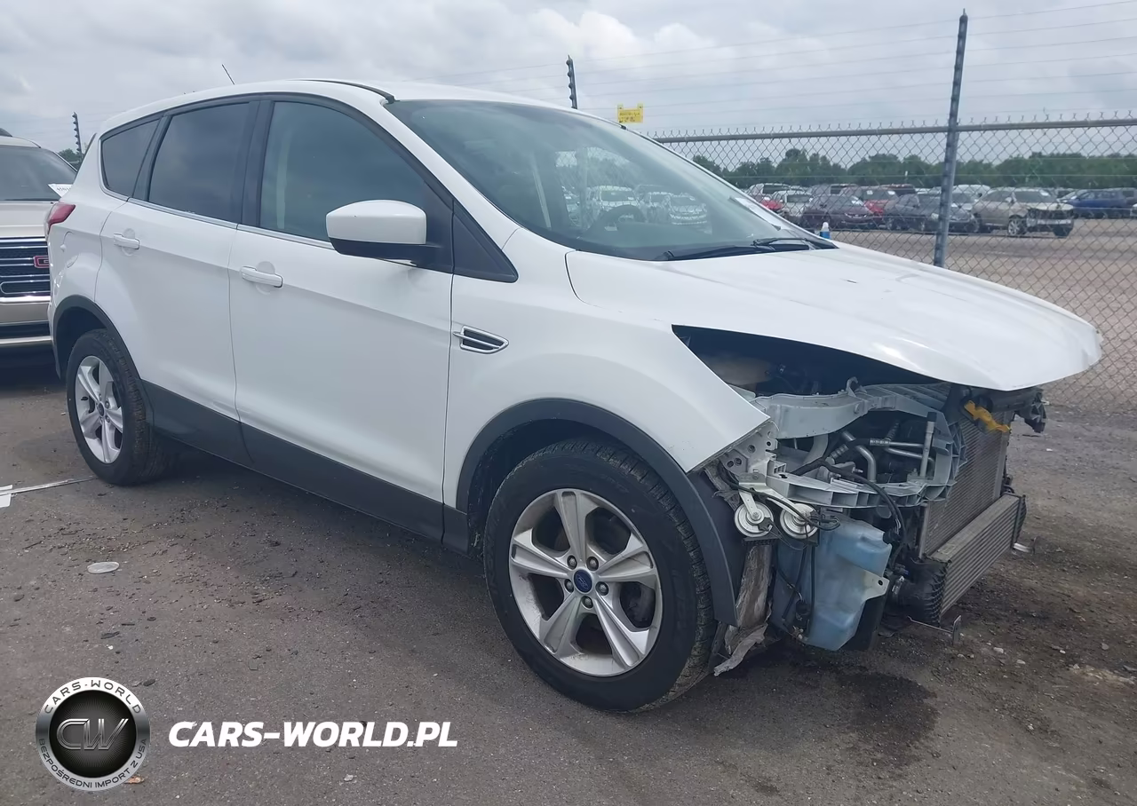 2014 Ford Escape Se