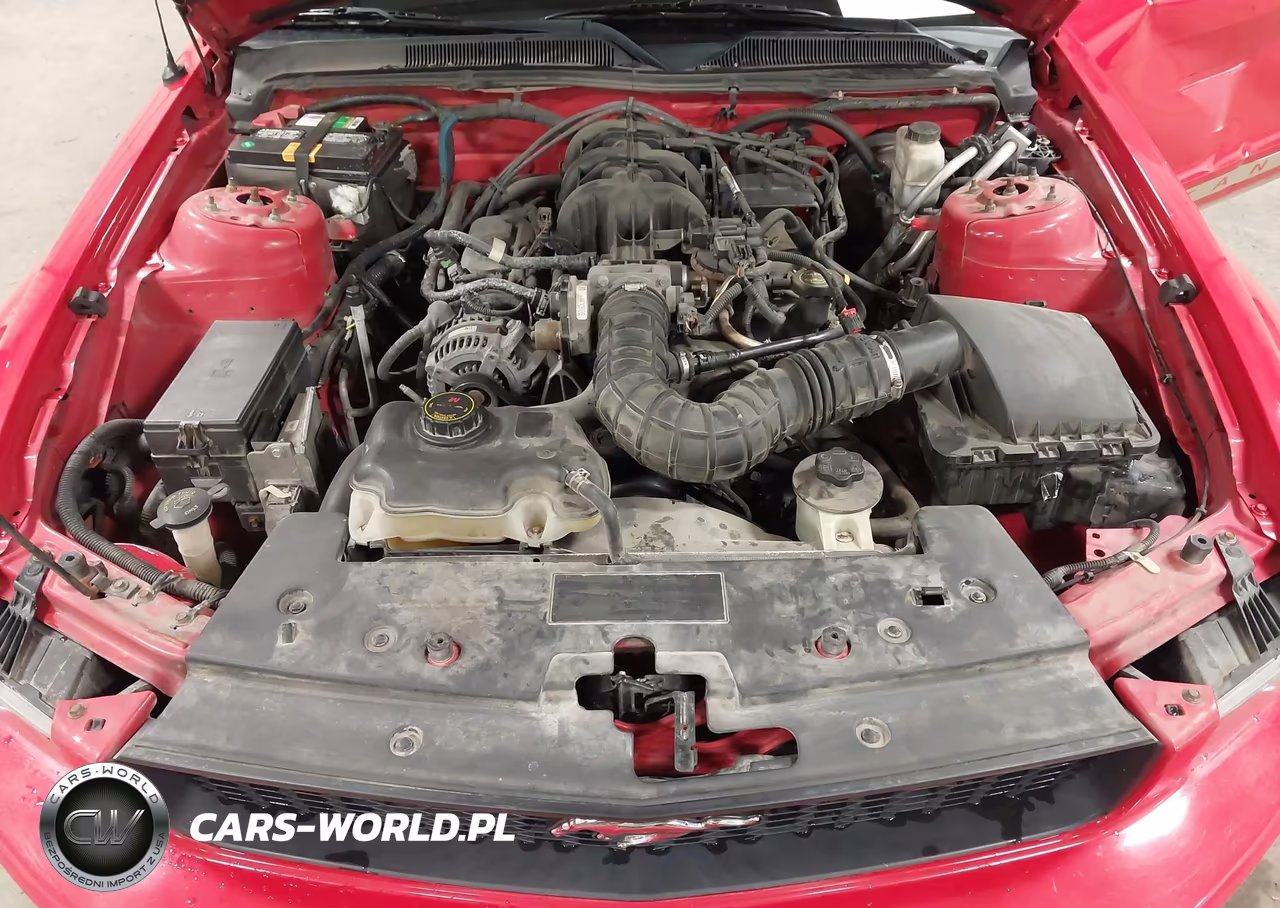 2009 FORD MUSTANG V6-V6 PREMIUM VIN:1ZVHT80N395142571 - 10
