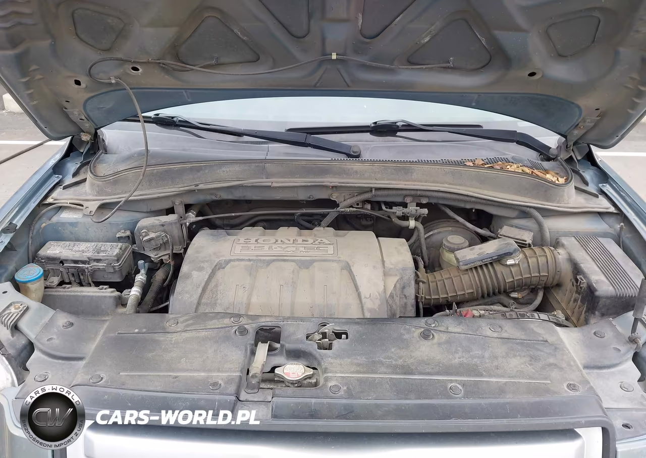 2006 Honda Pilot Ex-L VIN:5FNYF28566B032295 - 10