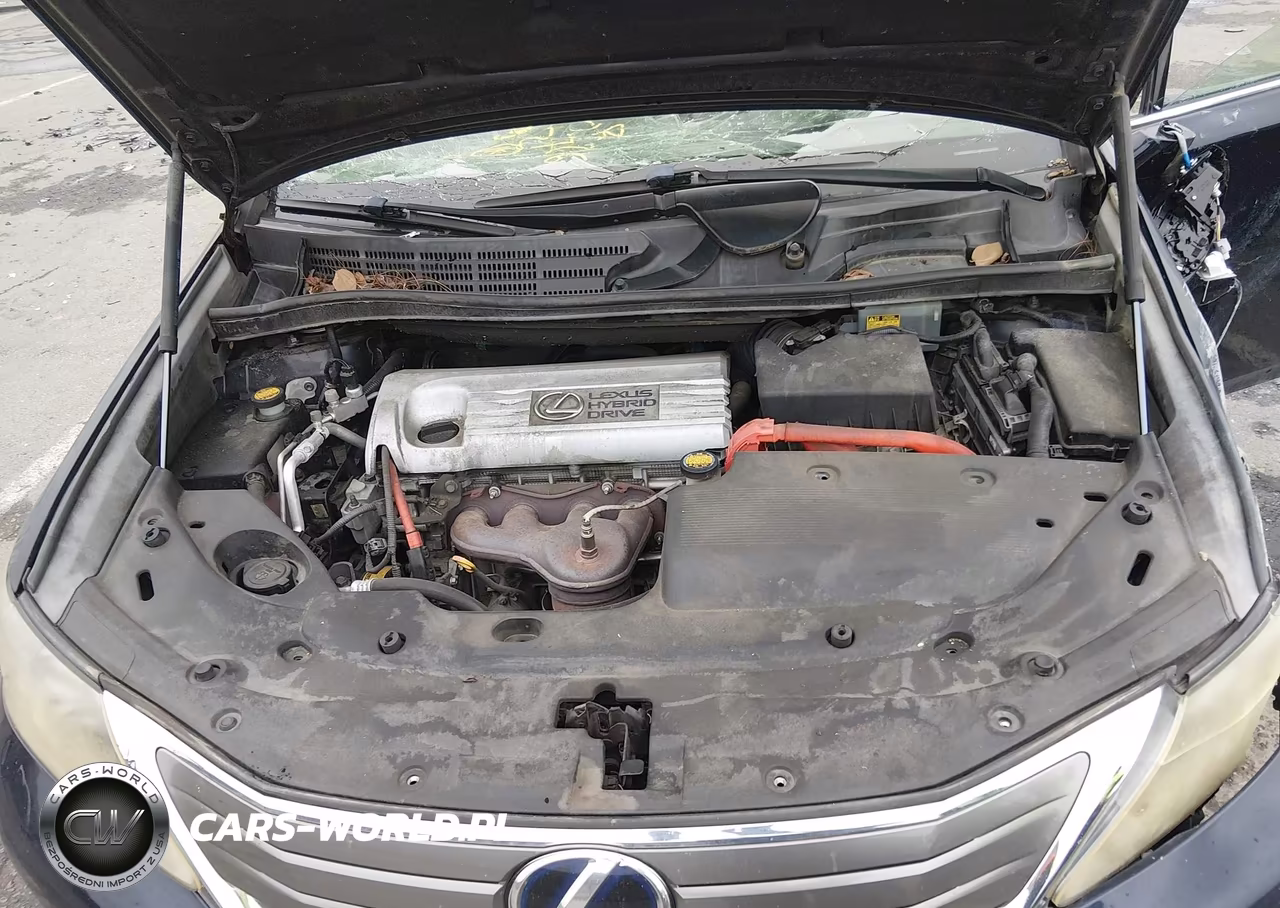 2010 Lexus Hs 250H VIN:JTHBB1BA9A2034974 - 10