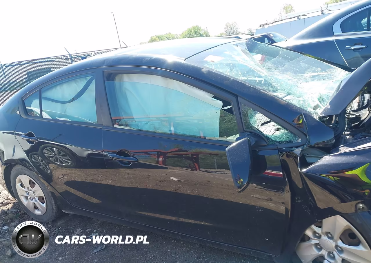 2017 Kia Forte Lx VIN:3KPFL4A7XHE062996 - 14
