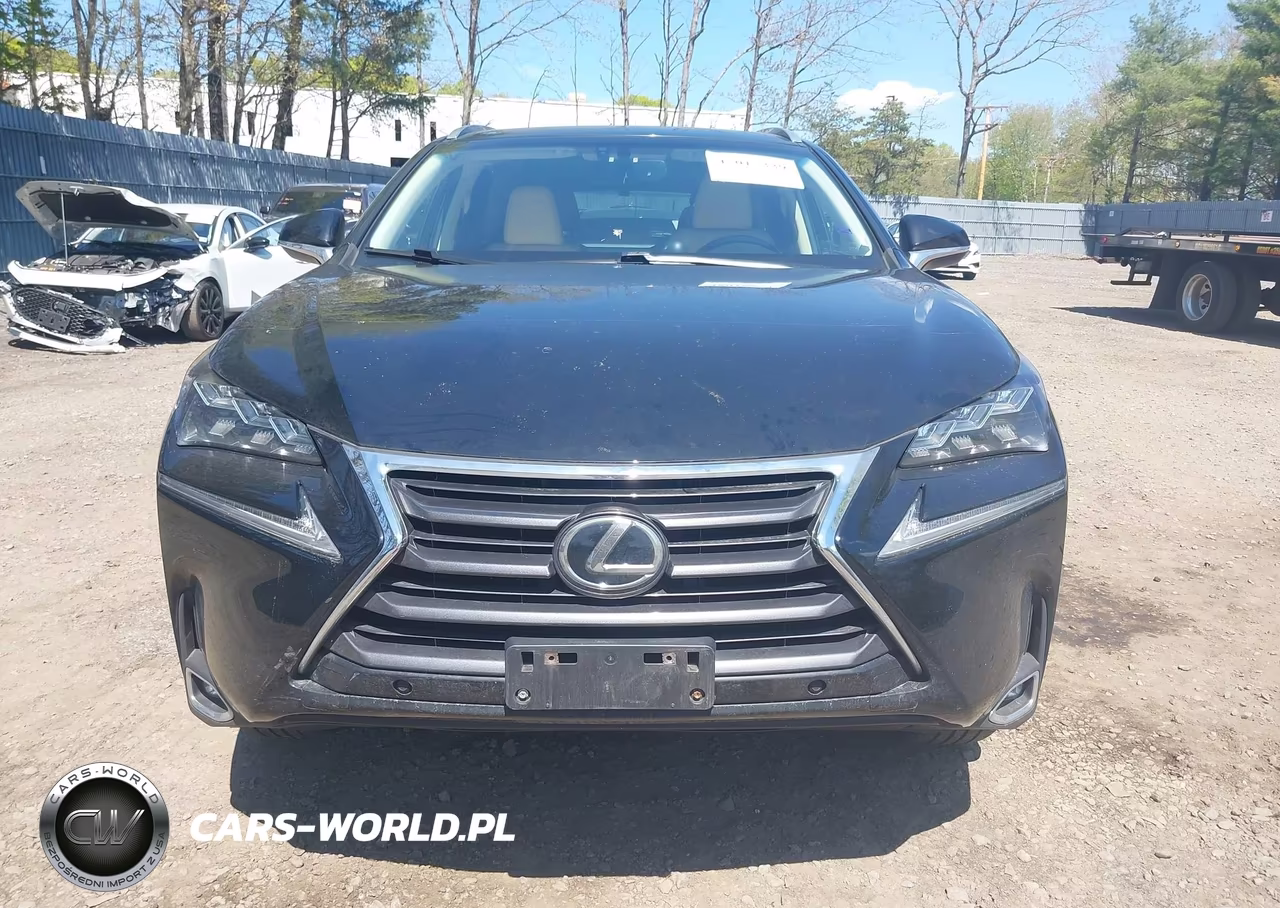 2015 Lexus Nx 200T VIN:JTJBARBZ7F2033643 - 12