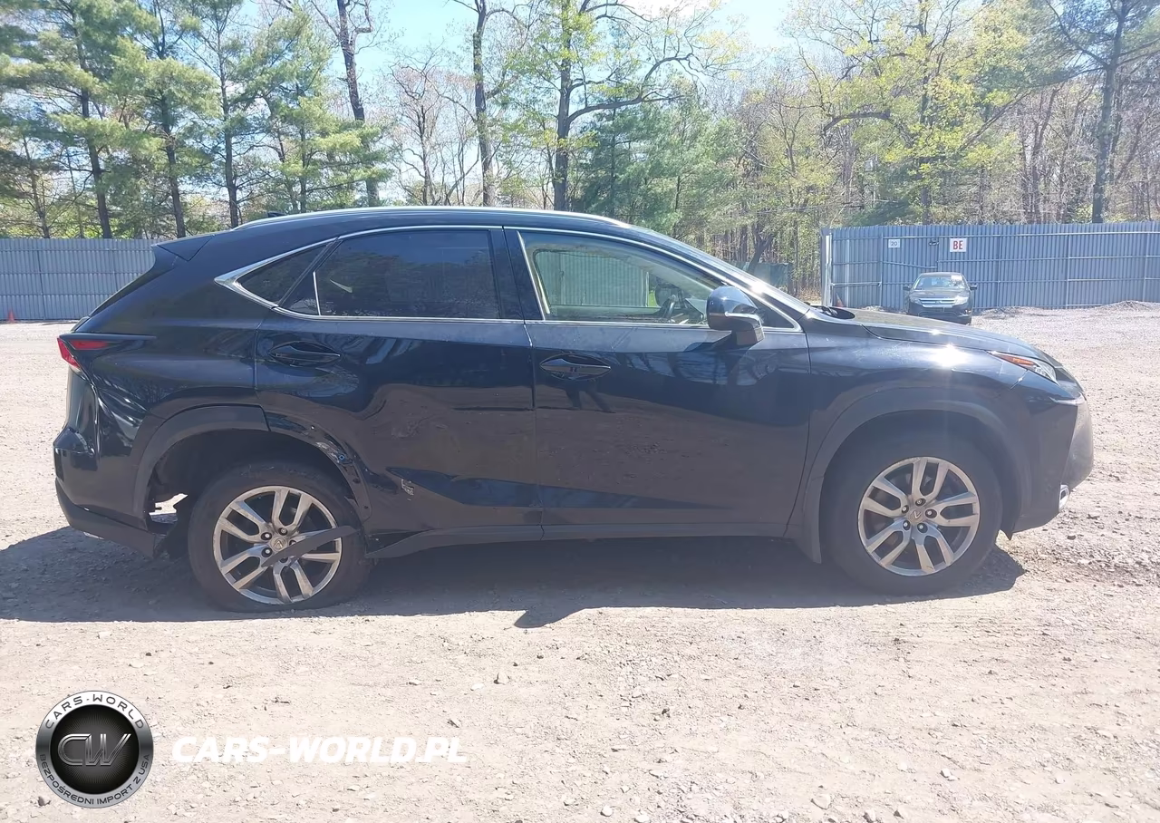 2015 Lexus Nx 200T VIN:JTJBARBZ7F2033643 - 13