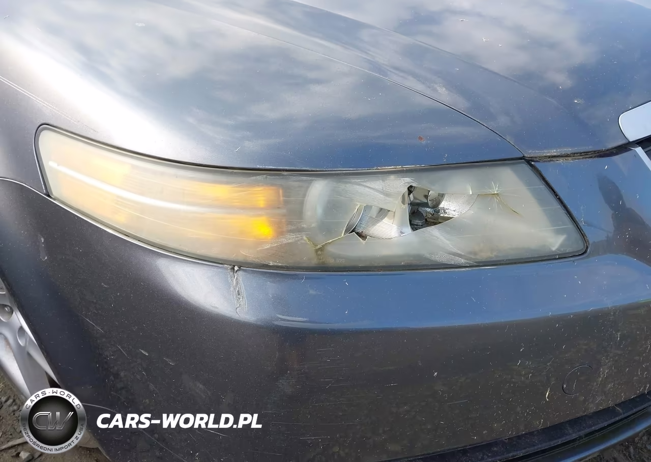 2004 Acura Tl VIN:19UUA66294A071886 - 12