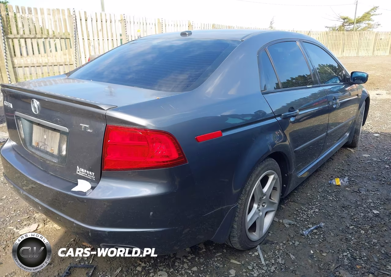 2004 Acura Tl VIN:19UUA66294A071886 - 4