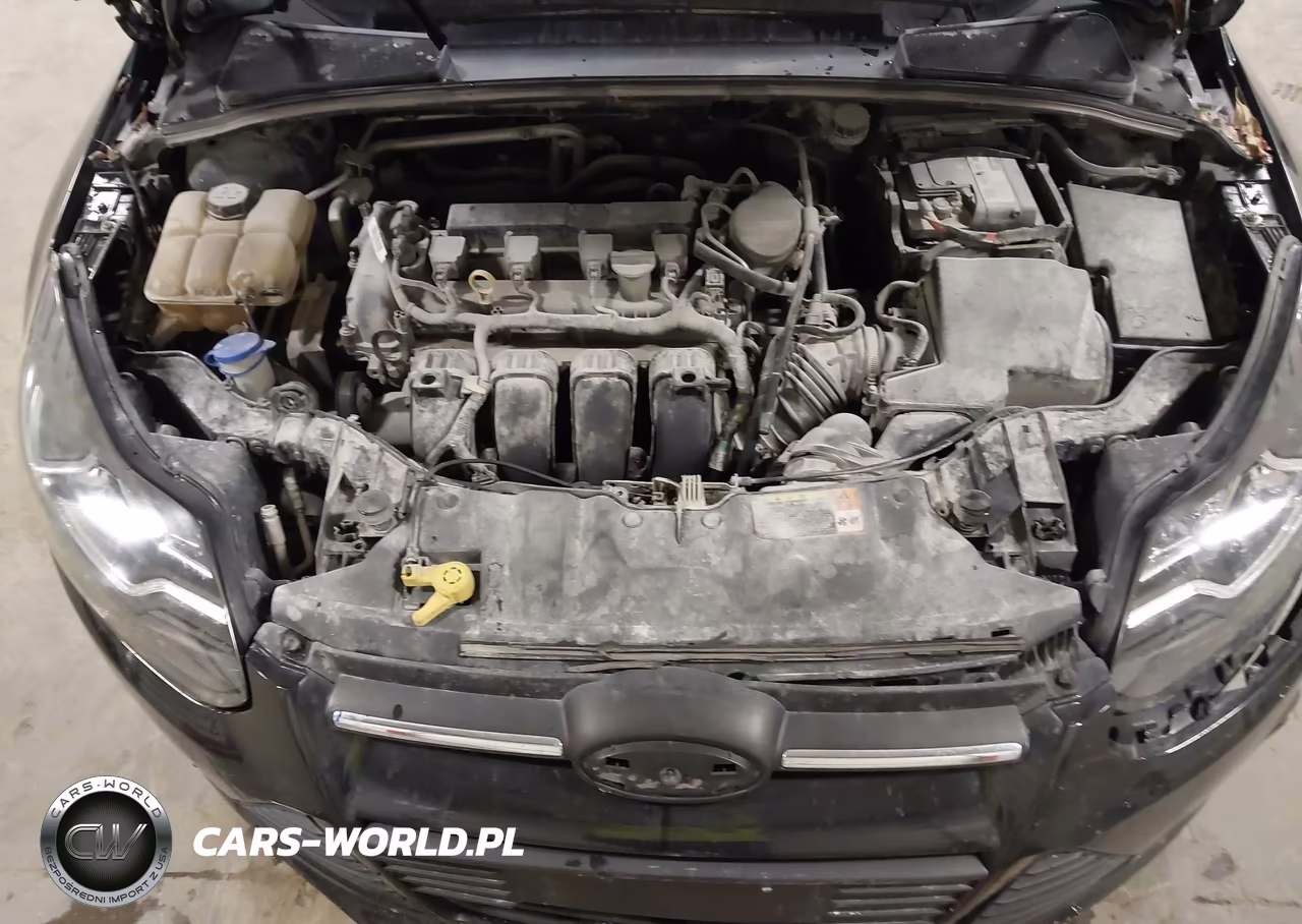 FORD FOCUS SE VIN:1FADP3F29DL276310 - 10