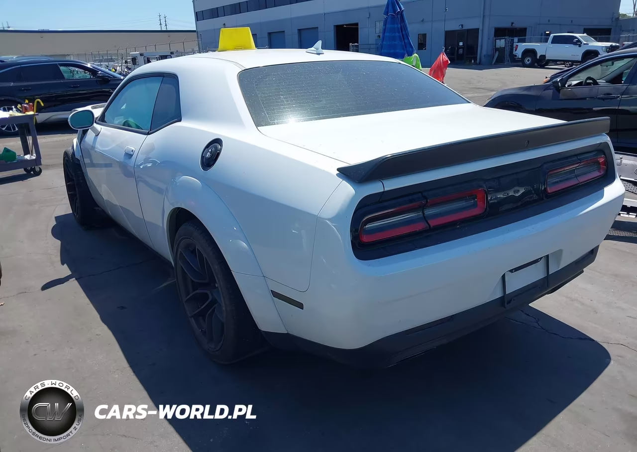 2019 Dodge Challenger R-T Scat Pack Widebody VIN:2C3CDZFJ1KH691354 - 3