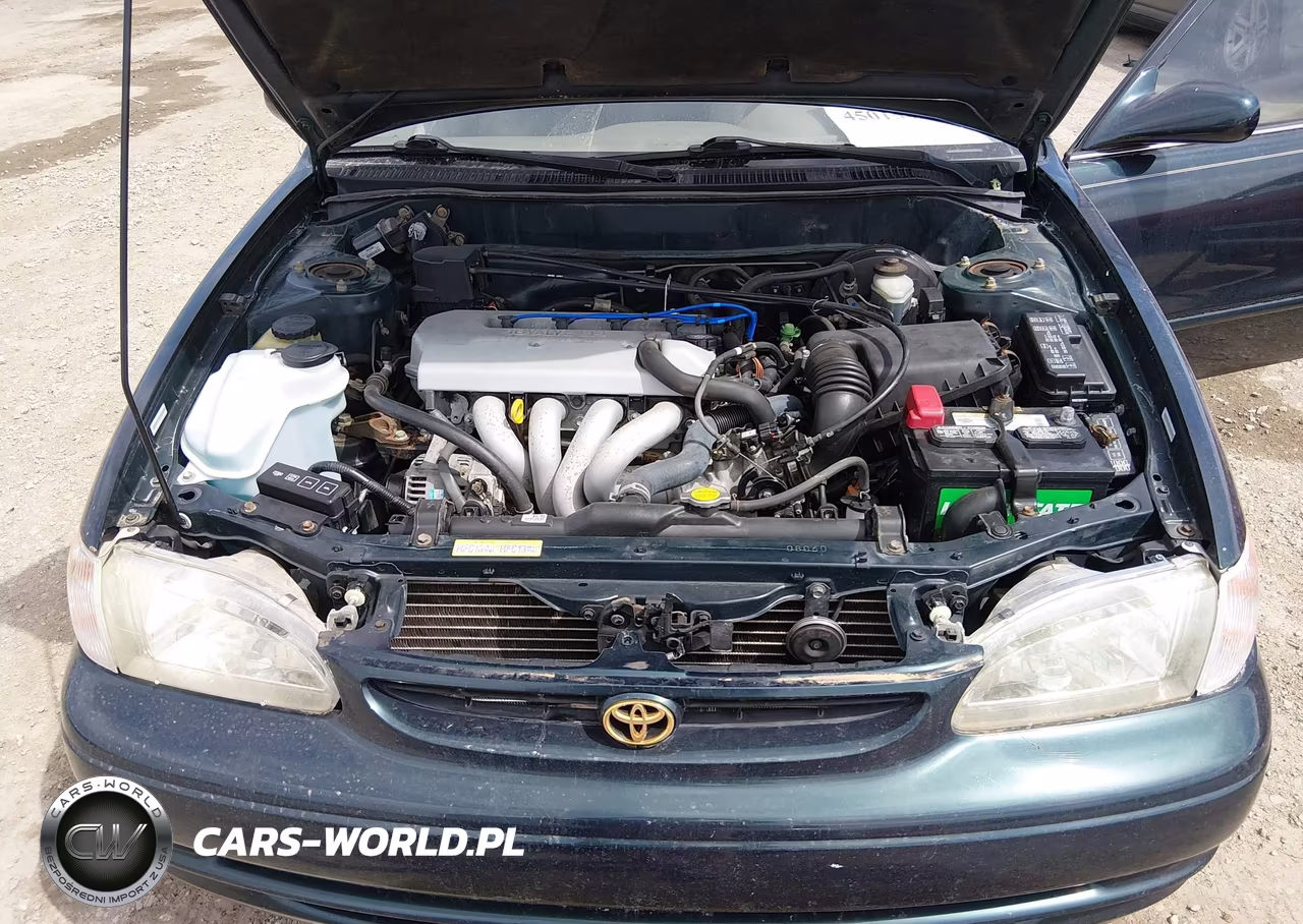 1999 Toyota Corolla Le VIN:1NXBR12E9XZ299080 - 10