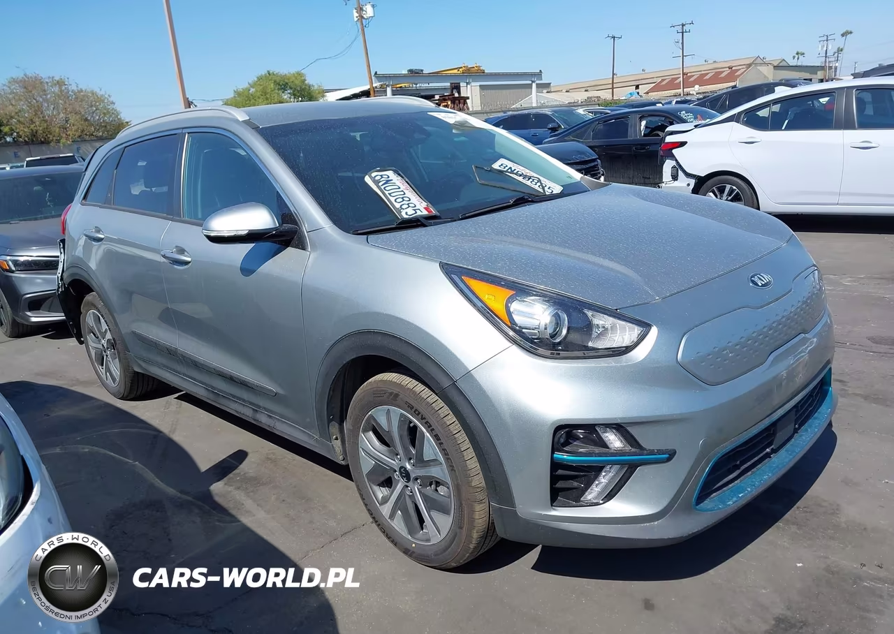 2019 Kia Niro Ev Ex