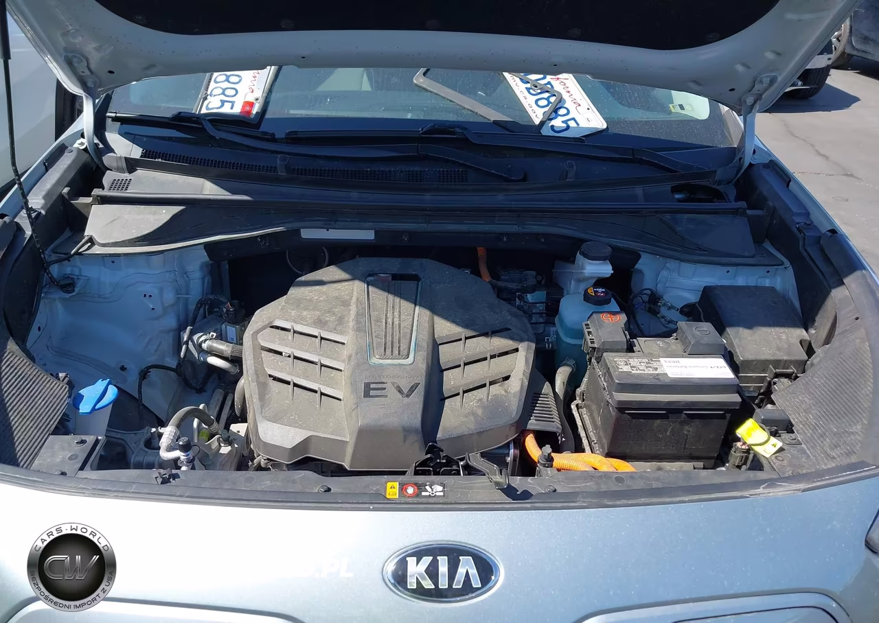 2019 Kia Niro Ev Ex VIN:KNDCC3LG3K5020294 - 10