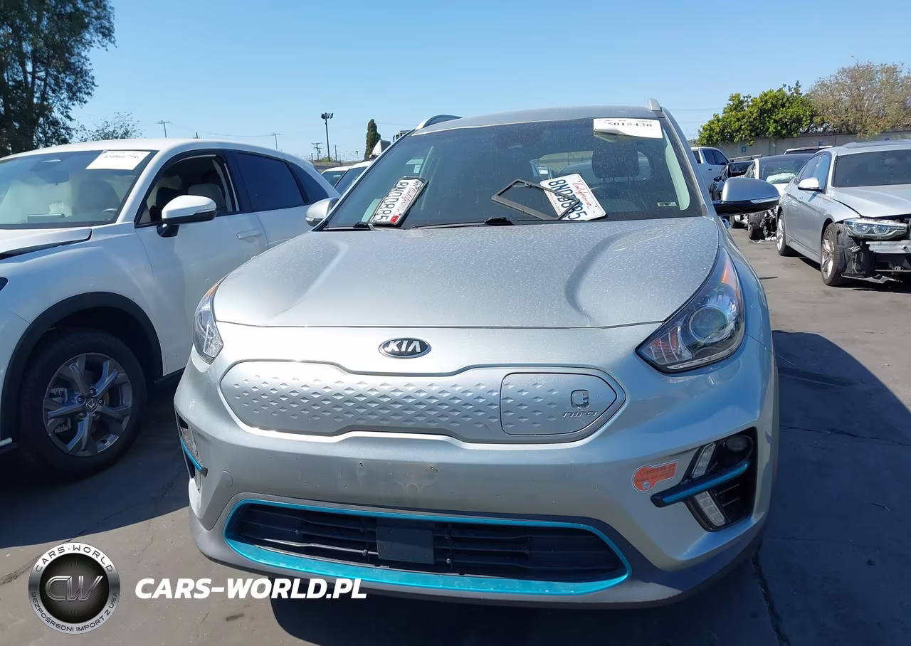2019 Kia Niro Ev Ex VIN:KNDCC3LG3K5020294 - 12