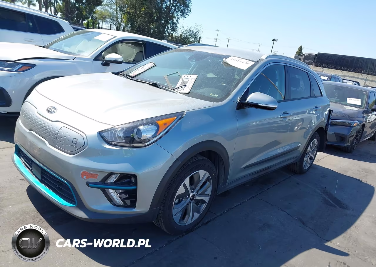 2019 Kia Niro Ev Ex VIN:KNDCC3LG3K5020294 - 2