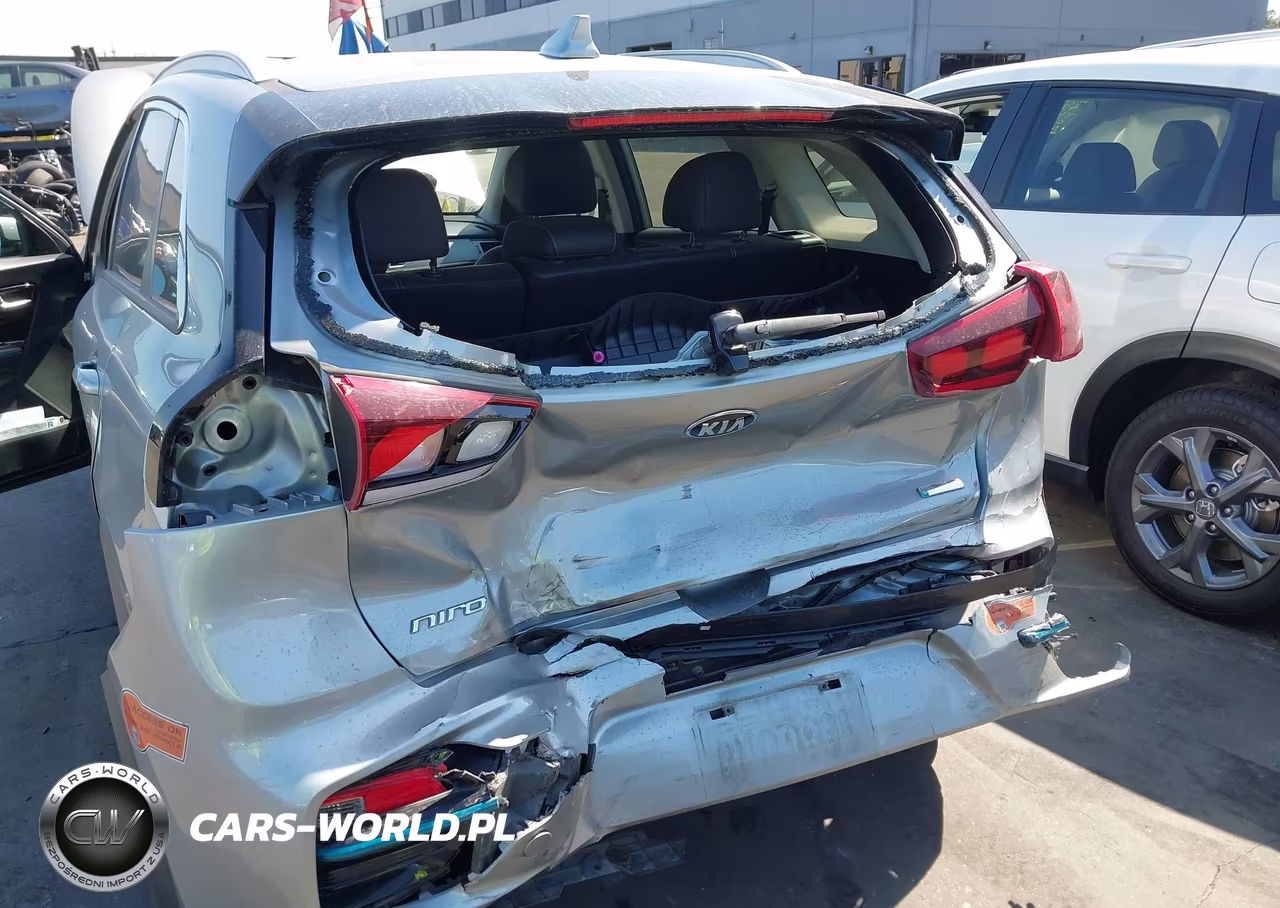 2019 Kia Niro Ev Ex VIN:KNDCC3LG3K5020294 - 6