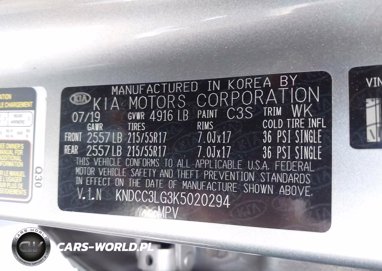 2019 Kia Niro Ev Ex VIN:KNDCC3LG3K5020294 - 9