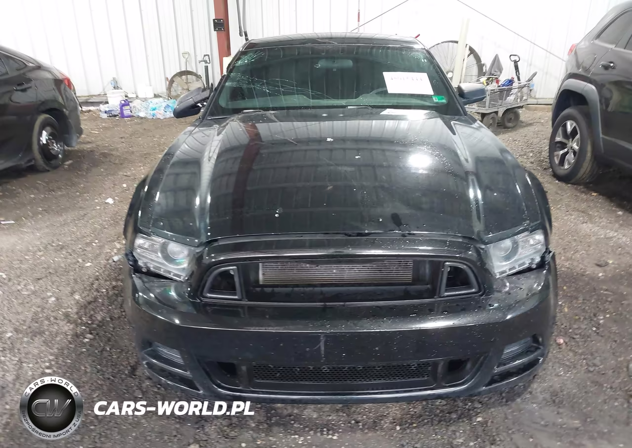 2013 Ford Mustang V6 VIN:1ZVBP8AM8D5205849 - 12