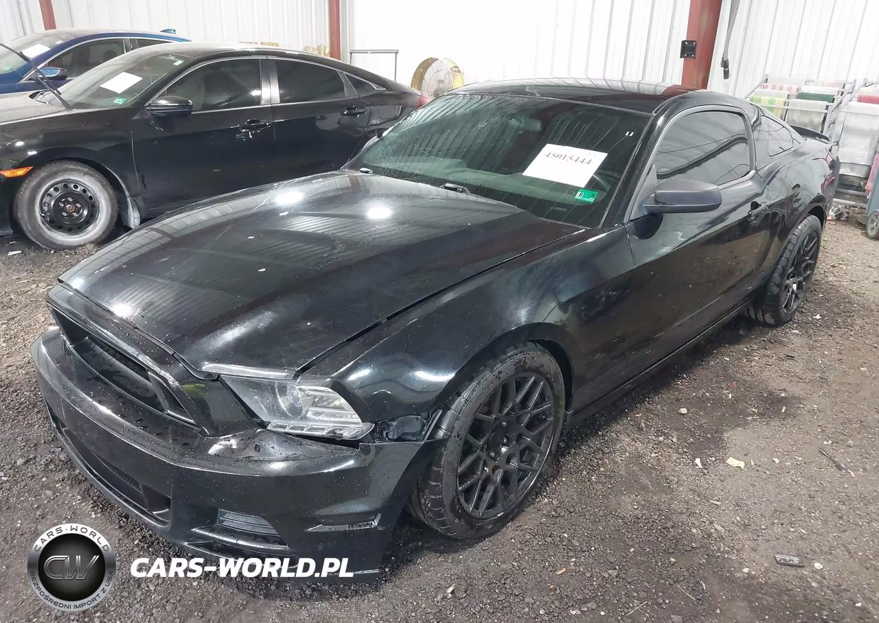 2013 Ford Mustang V6 VIN:1ZVBP8AM8D5205849 - 2