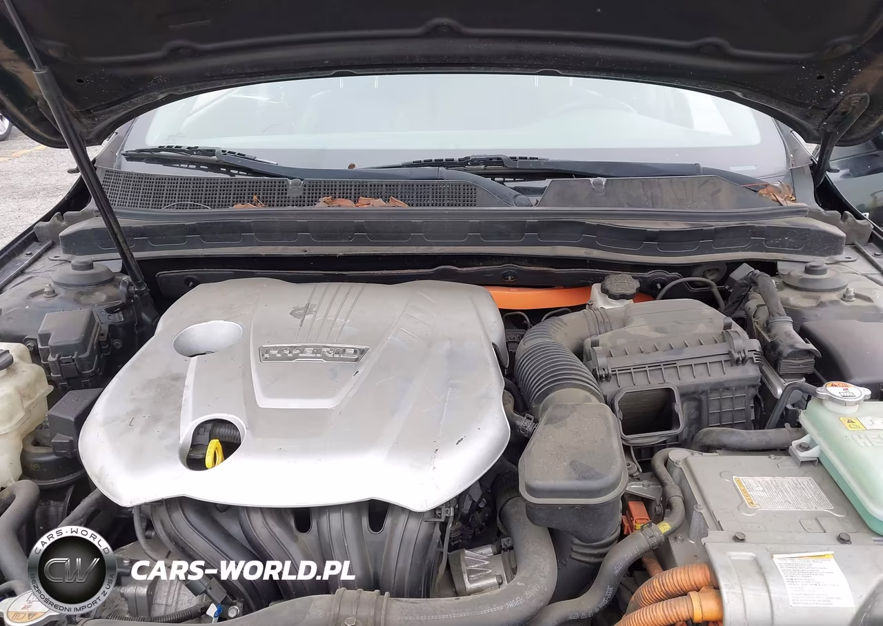 KIA OPTIMA HYBRID VIN:KNAGM4AD3D5057701 - 10
