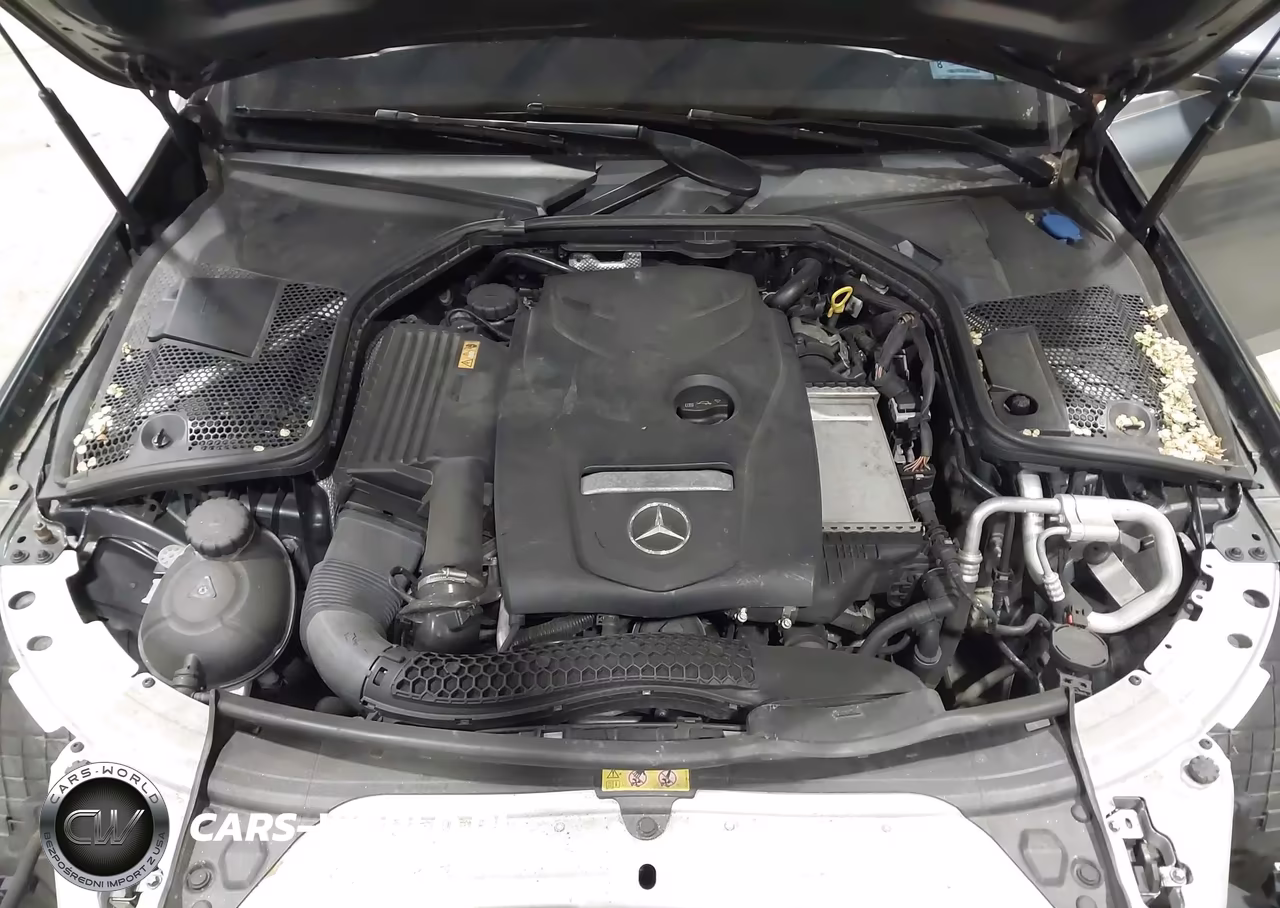 2017 Mercedes-Benz C 300 4Matic VIN:55SWF4KB2HU191902 - 10