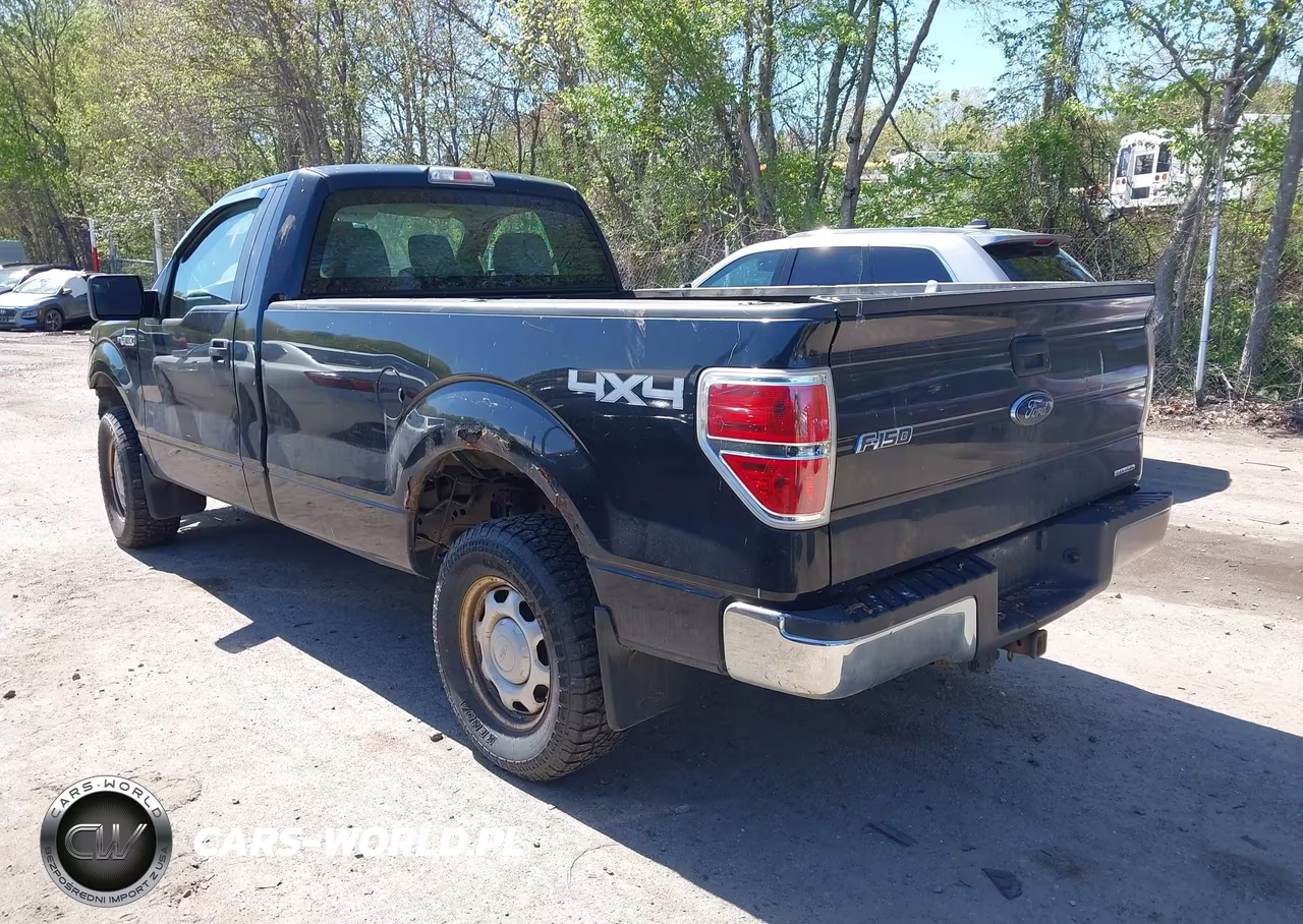 2013 Ford F-150 Xl VIN:1FTNF1EF2DKD12130 - 3