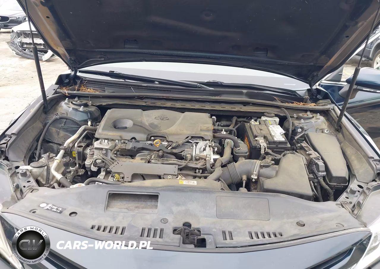 2020 Toyota Camry Se VIN:4T1G11AK3LU501796 - 10