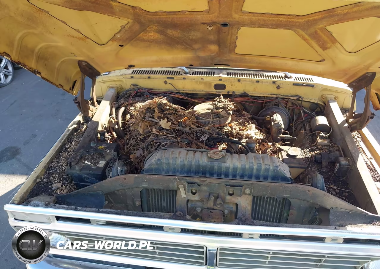 1973 Ford F-250 VIN:F25HRR26742 - 10