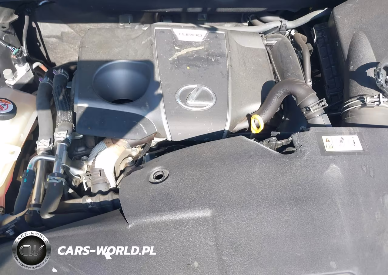 2020 Lexus Nx 300 VIN:JTJGARBZ8L2172746 - 10