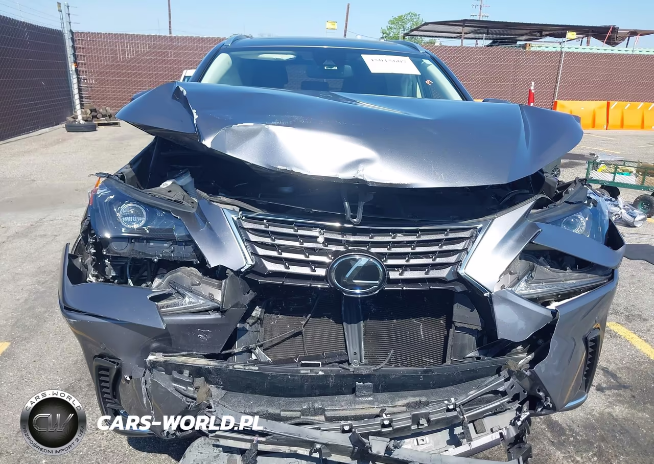 2020 Lexus Nx 300 VIN:JTJGARBZ8L2172746 - 12