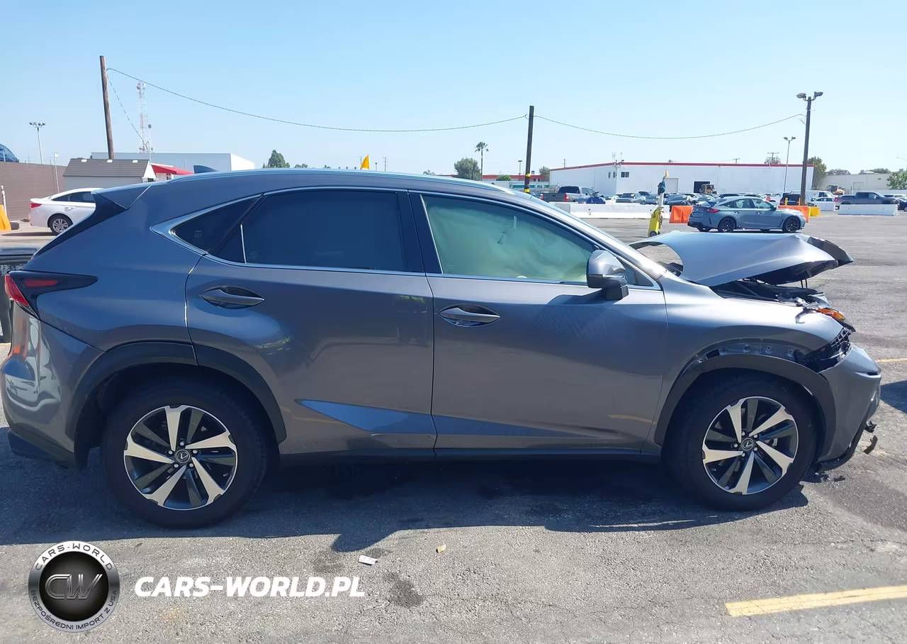 2020 Lexus Nx 300 VIN:JTJGARBZ8L2172746 - 13