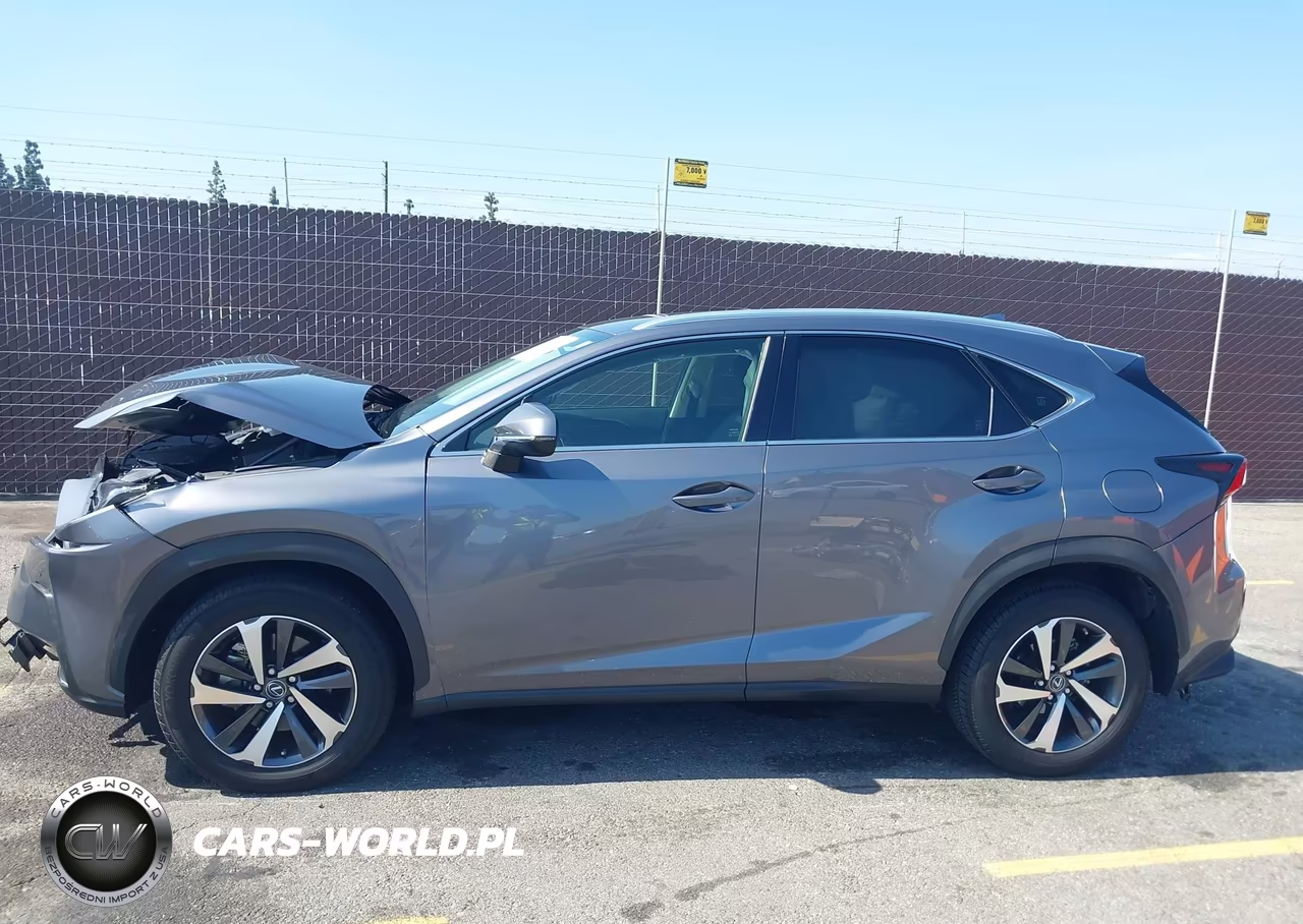 2020 Lexus Nx 300 VIN:JTJGARBZ8L2172746 - 14