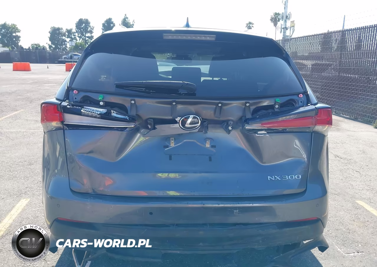 2020 Lexus Nx 300 VIN:JTJGARBZ8L2172746 - 16