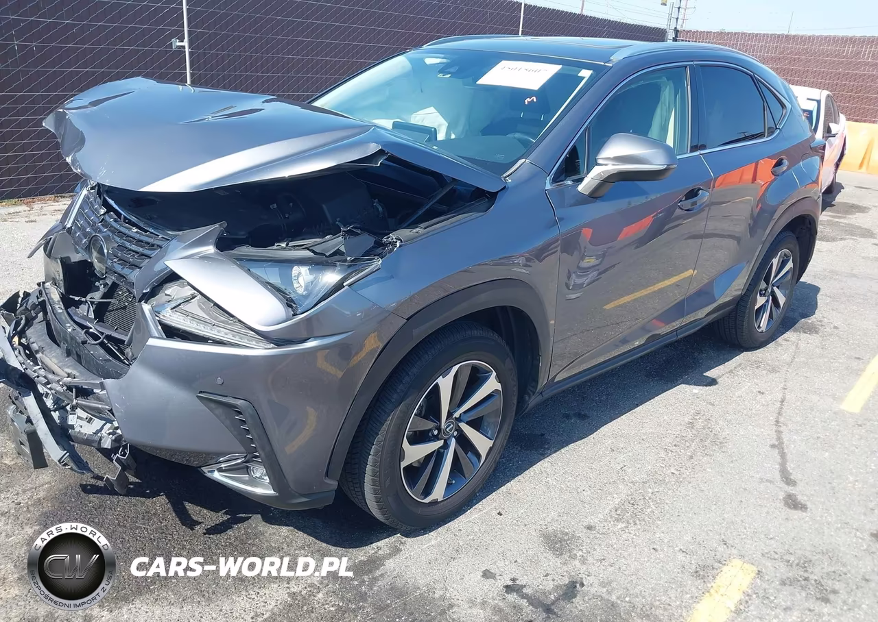 2020 Lexus Nx 300 VIN:JTJGARBZ8L2172746 - 2