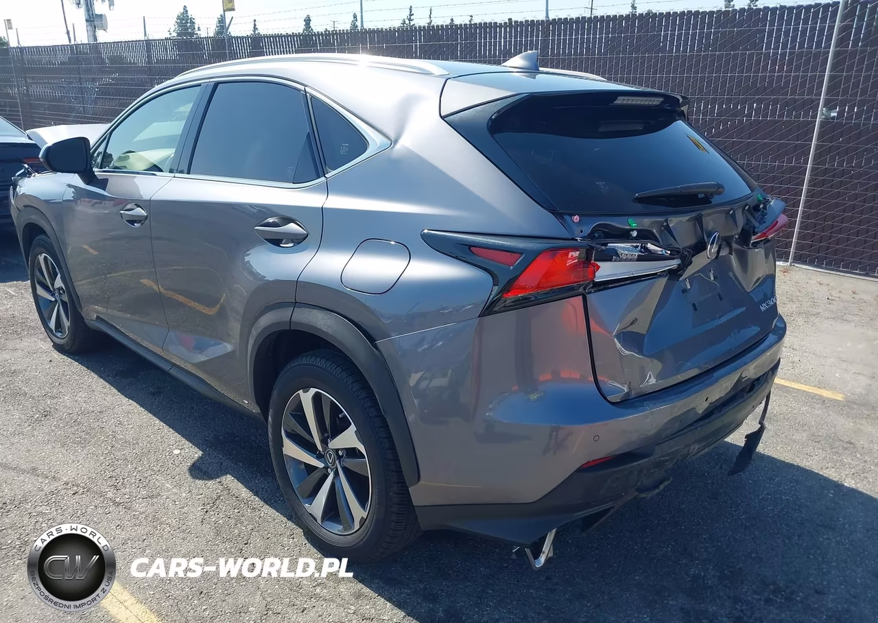 2020 Lexus Nx 300 VIN:JTJGARBZ8L2172746 - 3