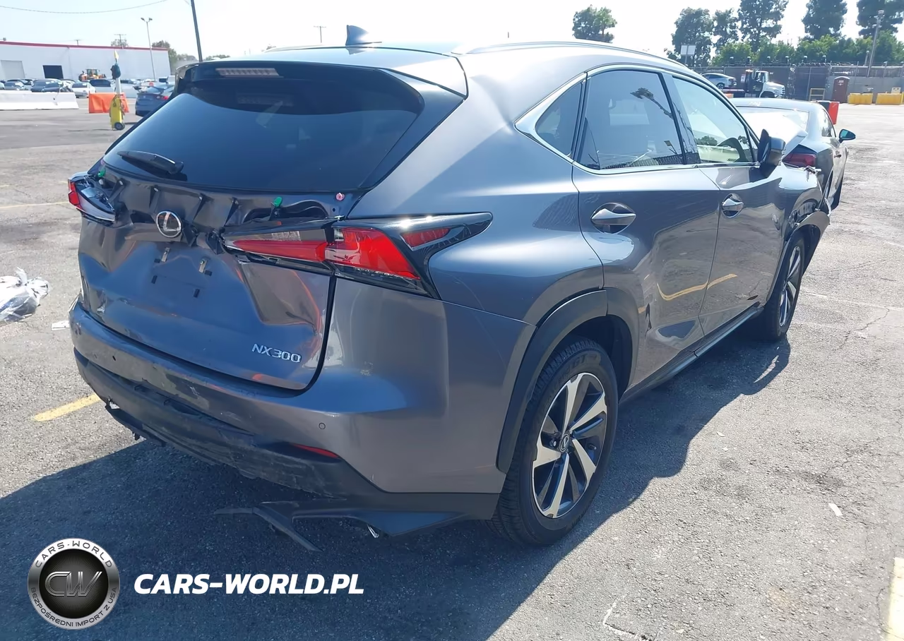 2020 Lexus Nx 300 VIN:JTJGARBZ8L2172746 - 4