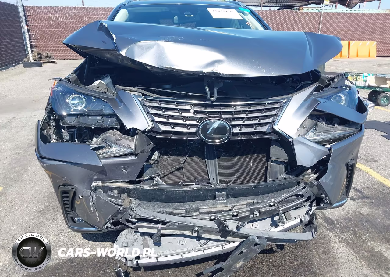 2020 Lexus Nx 300 VIN:JTJGARBZ8L2172746 - 6