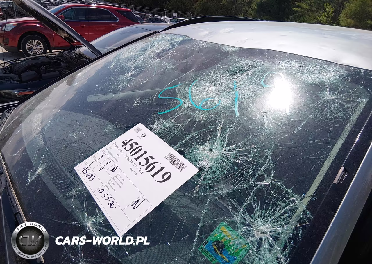 KIA NIRO WIND VIN:KNDCR3L13R5098465 - 19