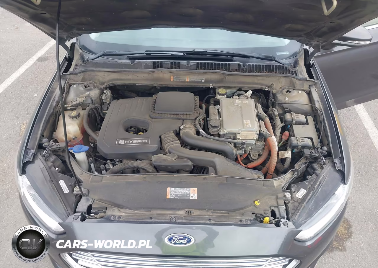2016 Ford Fusion Hybrid Se VIN:3FA6P0LU8GR106751 - 10