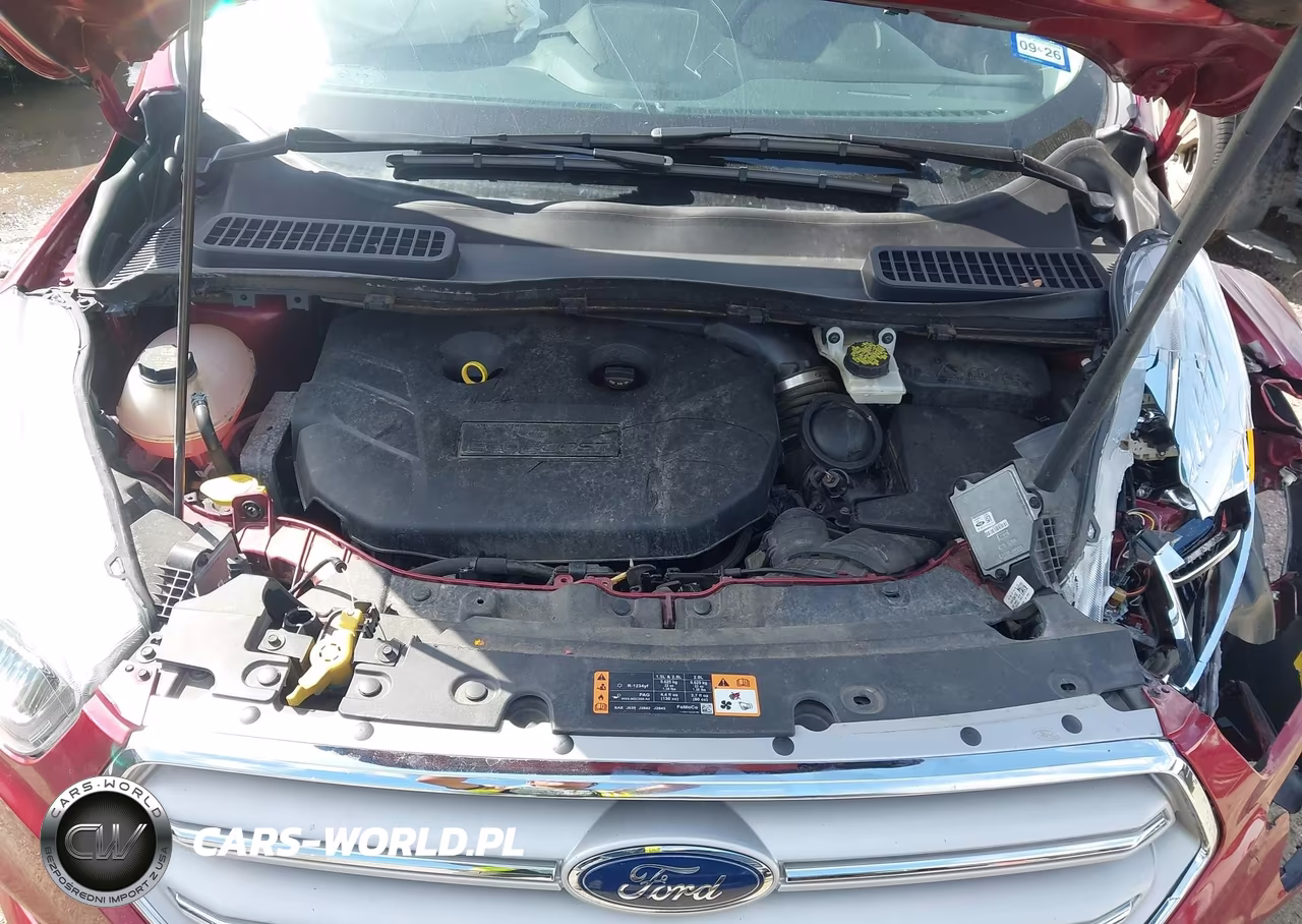 2019 Ford Escape Titanium VIN:1FMCU0J94KUC52954 - 10