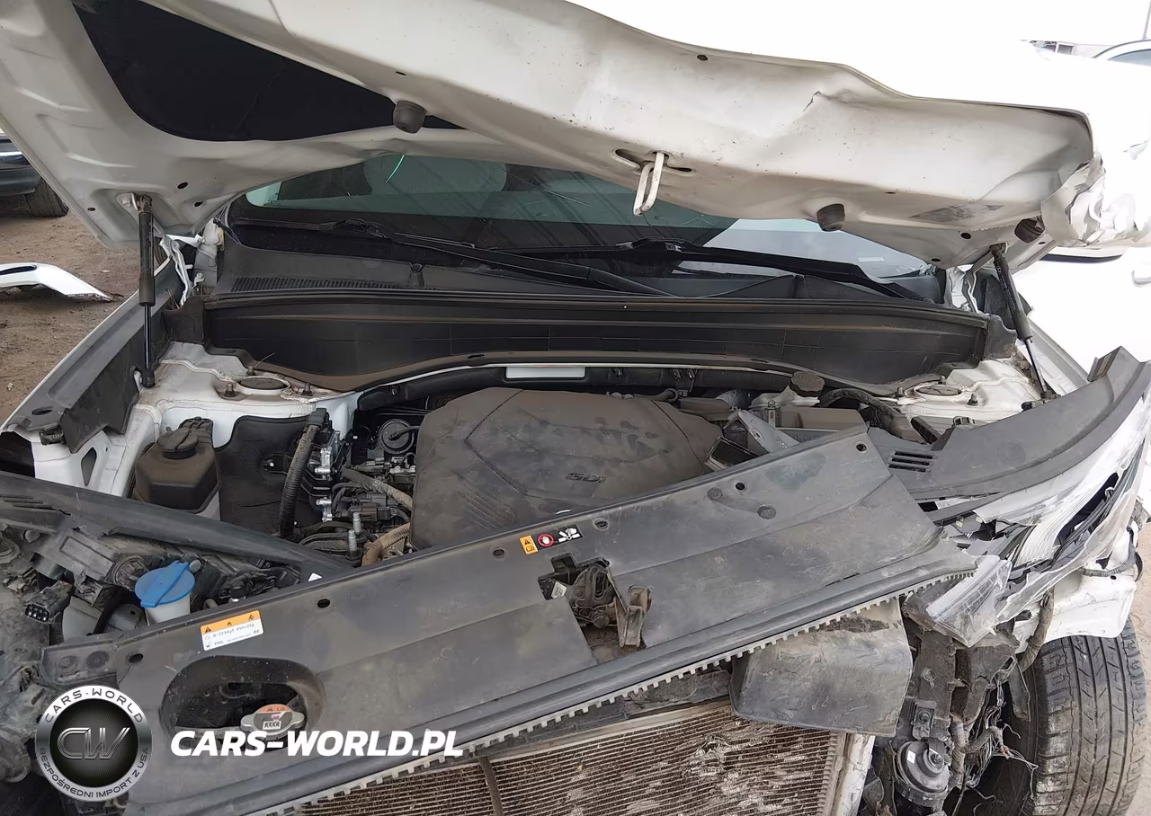 2022 Hyundai Palisade Sel VIN:KM8R24HE4NU362059 - 10