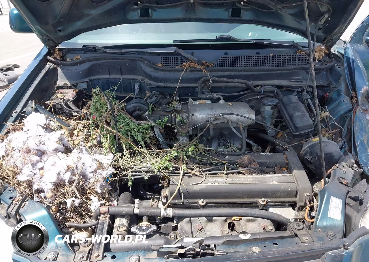 1998 Honda Cr-V Ex VIN:JHLRD186XWC070528 - 10