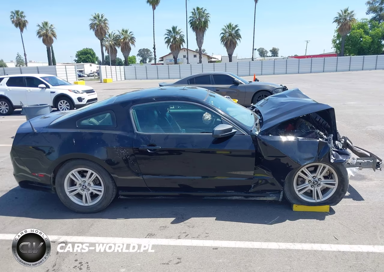 2014 Ford Mustang V6 VIN:1ZVBP8AM2E5333828 - 13