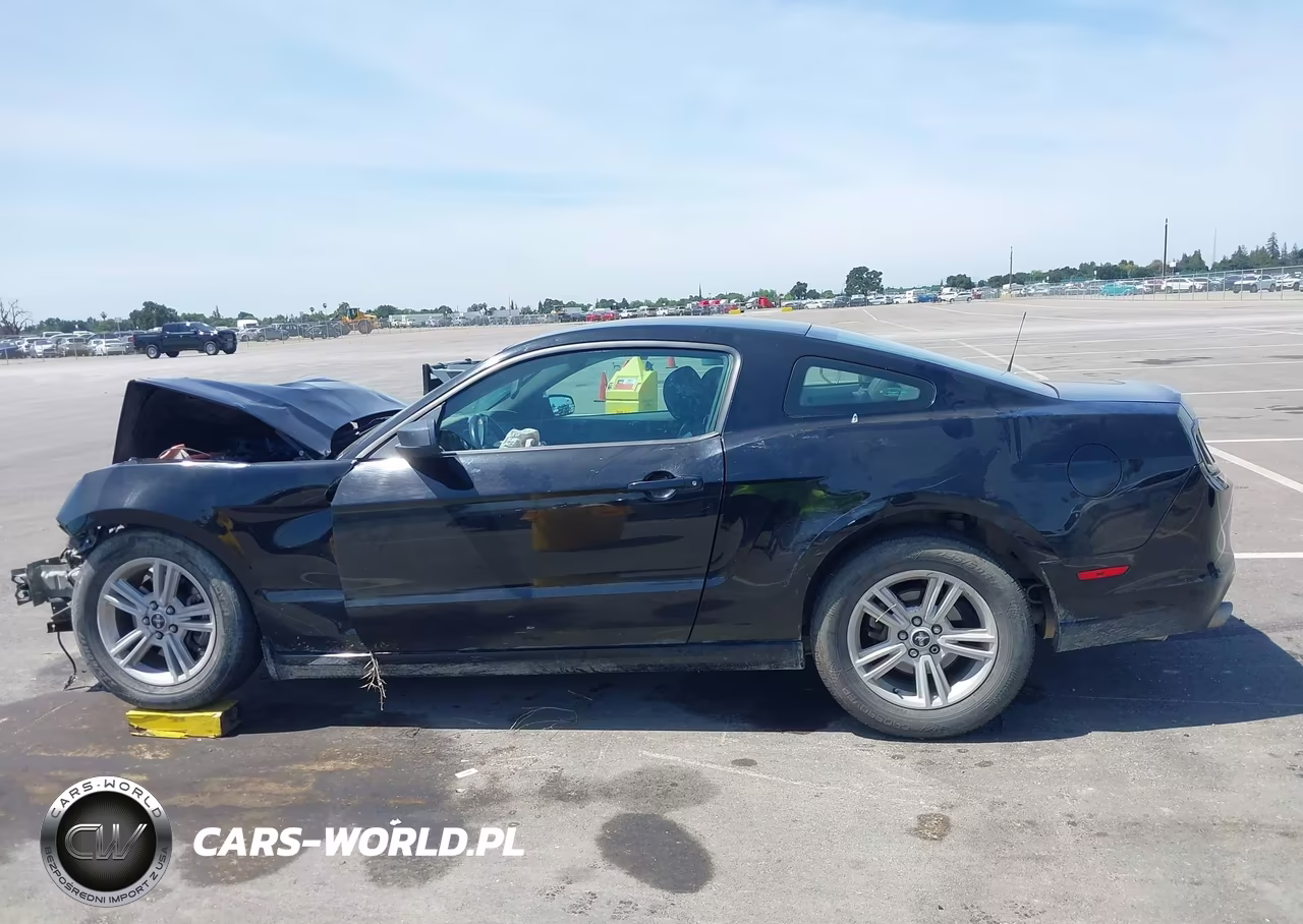 2014 Ford Mustang V6 VIN:1ZVBP8AM2E5333828 - 14