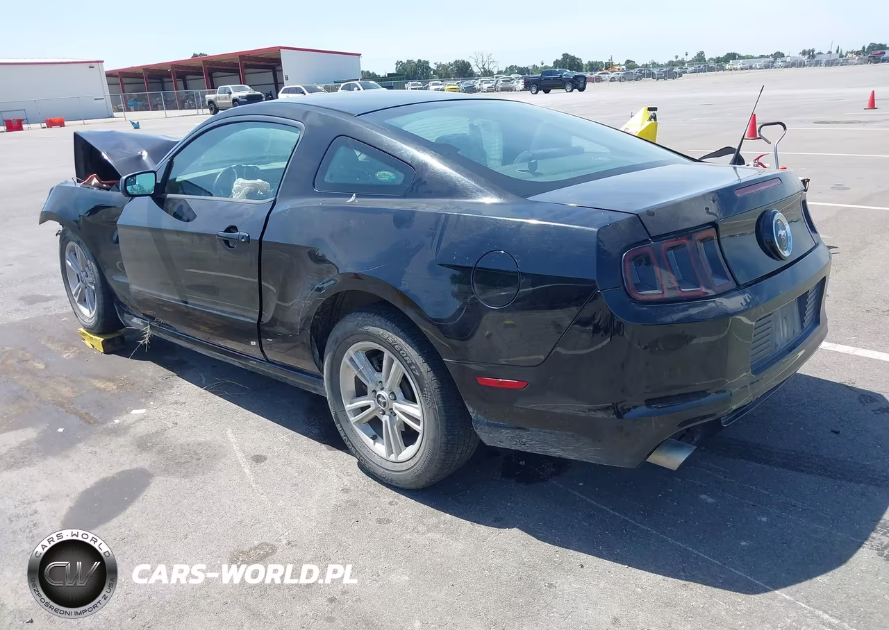 2014 Ford Mustang V6 VIN:1ZVBP8AM2E5333828 - 3