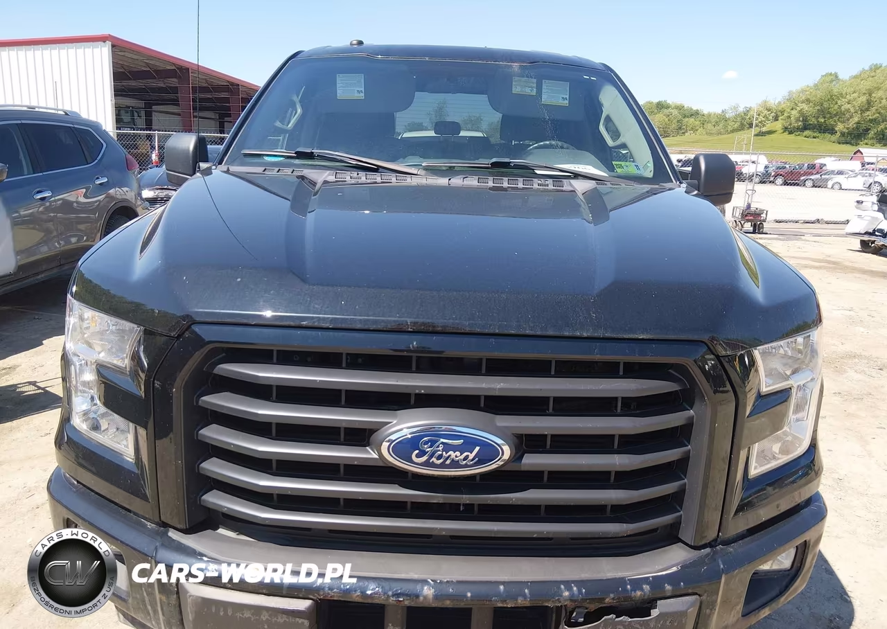 2017 Ford F-150 Xl VIN:1FTEW1EPXHFB87353 - 12