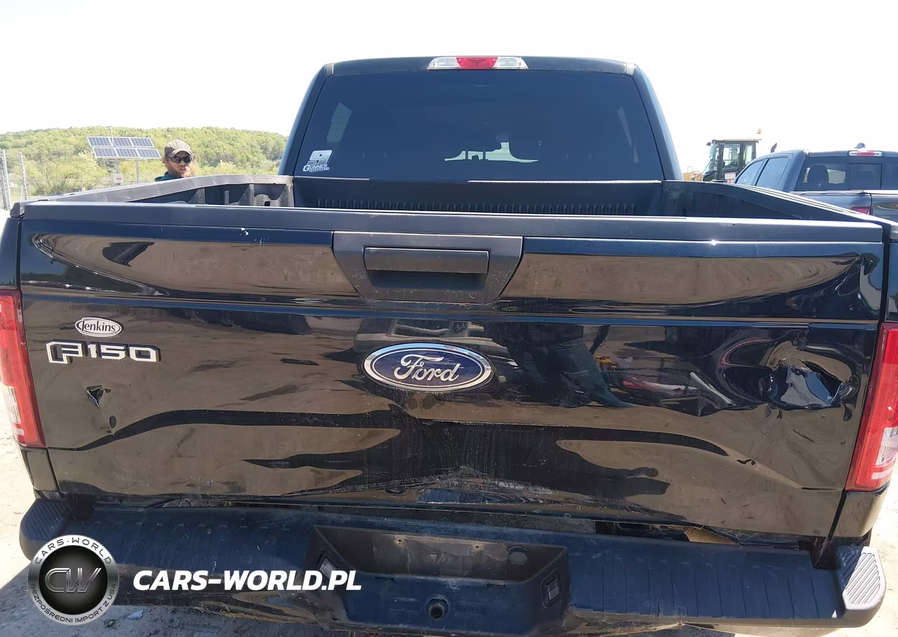 2017 Ford F-150 Xl VIN:1FTEW1EPXHFB87353 - 16