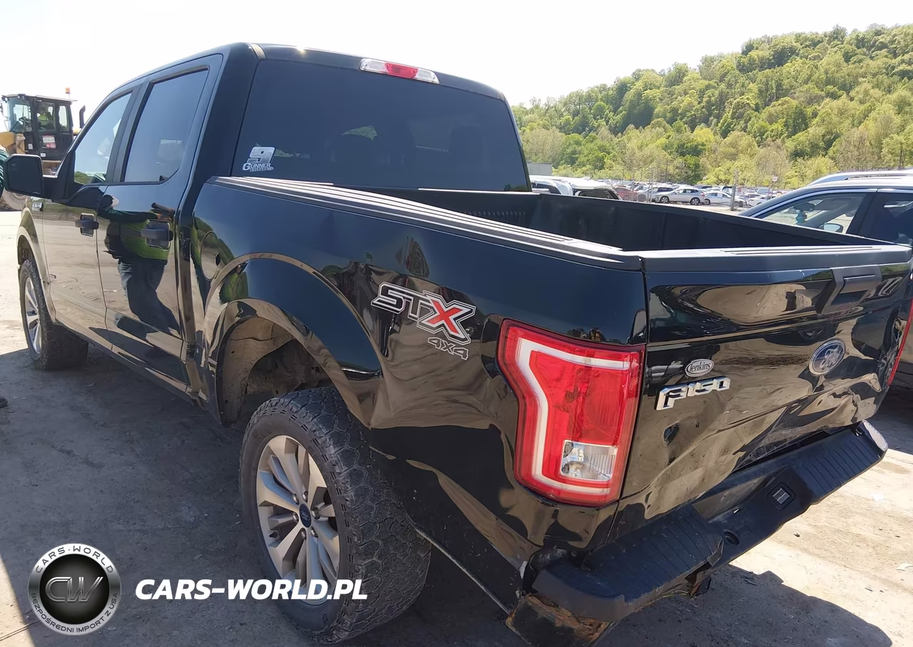 2017 Ford F-150 Xl VIN:1FTEW1EPXHFB87353 - 3