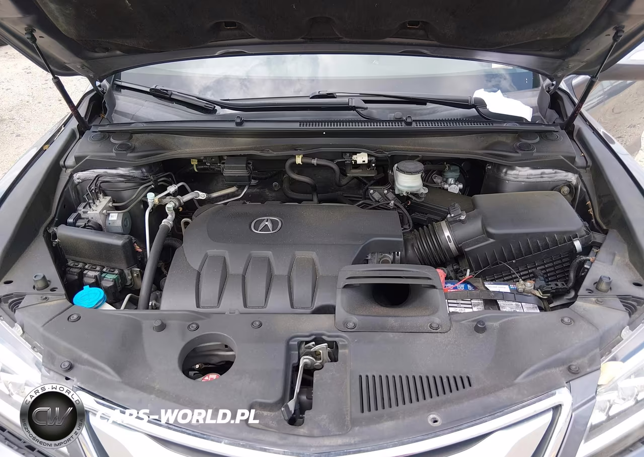 2017 Acura Rdx Acurawatch Plus Package VIN:5J8TB3H32HL011164 - 10