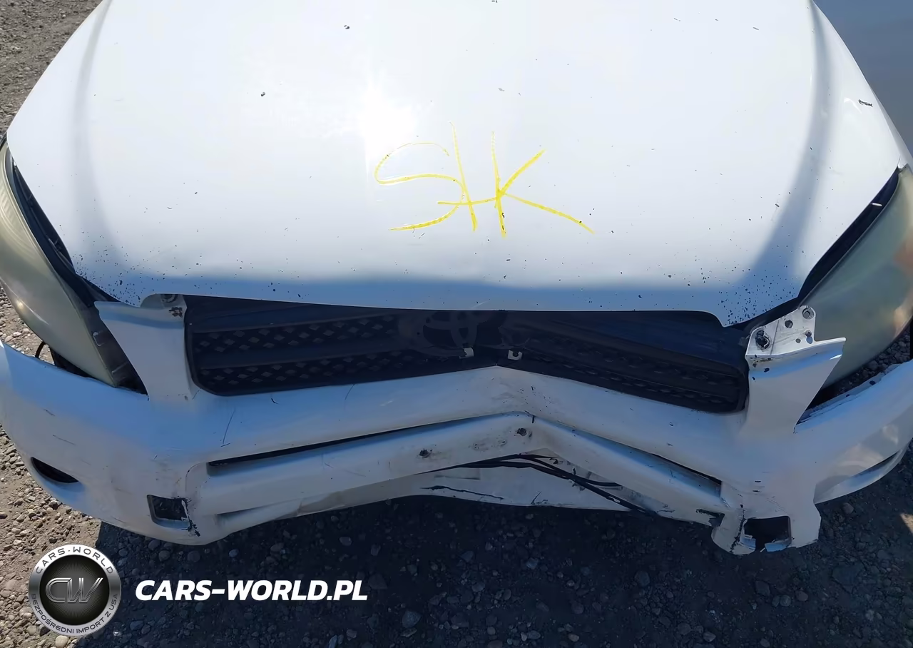 2008 Toyota Rav4 VIN:JTMBD35V185166769 - 10