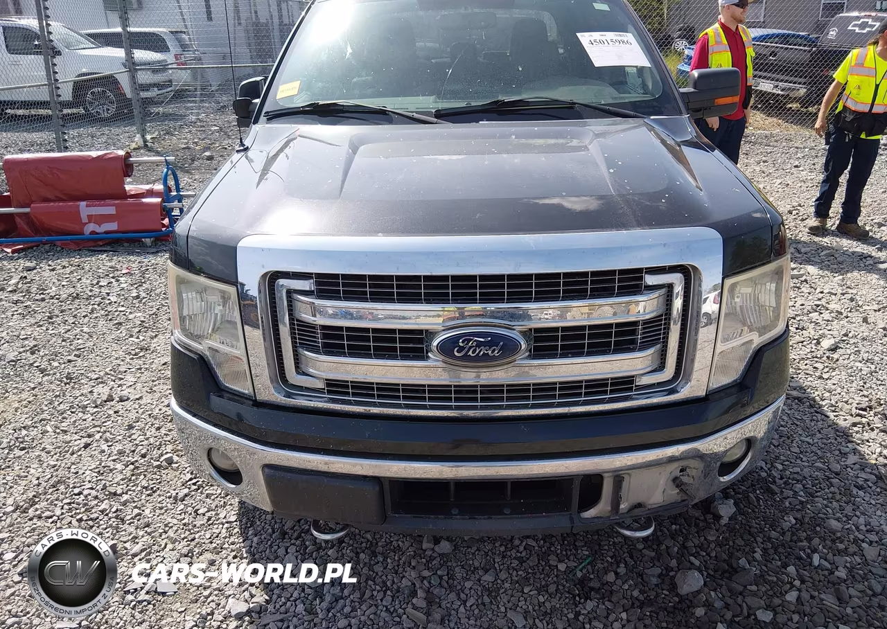 2014 Ford F-150 Xlt VIN:1FTFW1EF1EFC66921 - 12