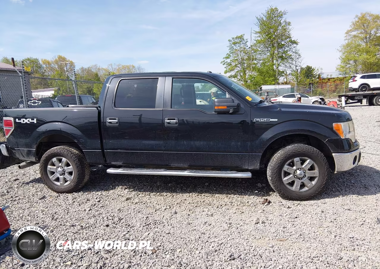 2014 Ford F-150 Xlt VIN:1FTFW1EF1EFC66921 - 13