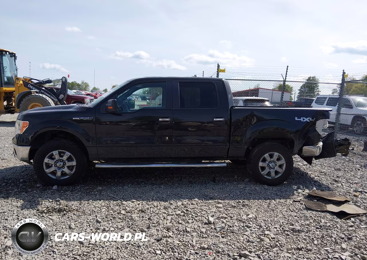 2014 Ford F-150 Xlt VIN:1FTFW1EF1EFC66921 - 14